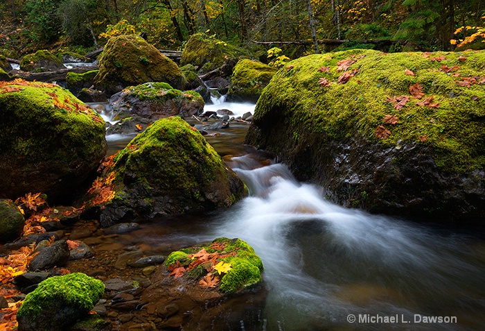 Autumn Stones