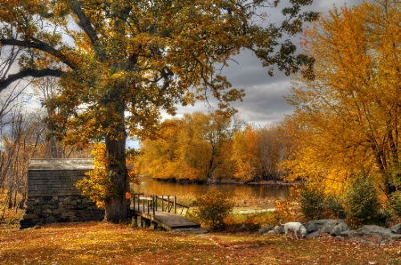 Down by the River