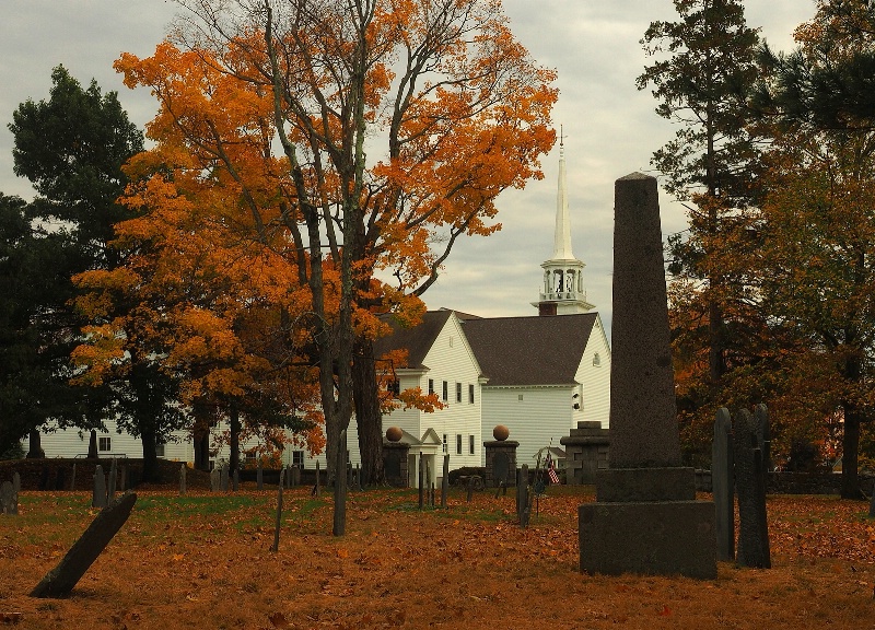 Fall foliage