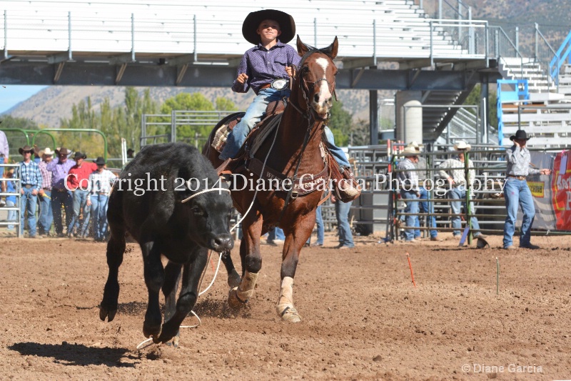 payden taylor 5th and under nephi 2014 4 - ID: 14716266 © Diane Garcia