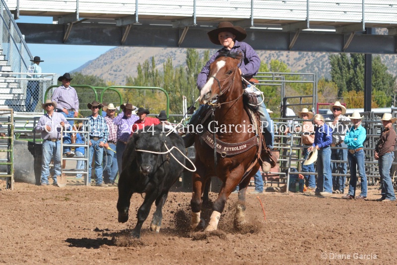 payden taylor 5th and under nephi 2014 3 - ID: 14716267 © Diane Garcia
