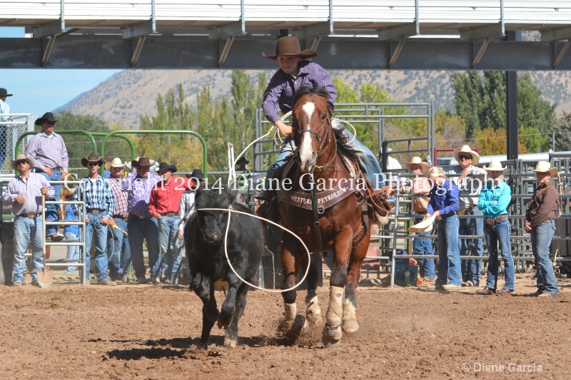 payden taylor 5th and under nephi 2014 2 - ID: 14716268 © Diane Garcia