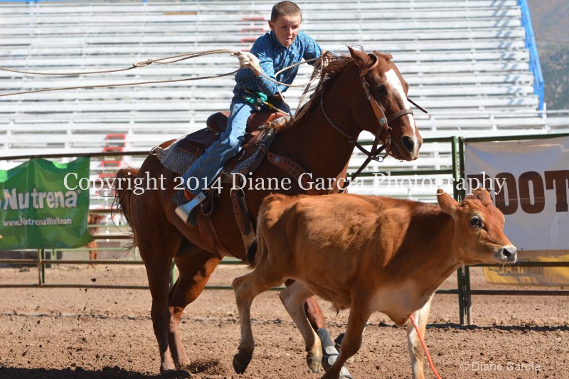 kesler riding 5th and under nephi 2014 3 - ID: 14716279 © Diane Garcia