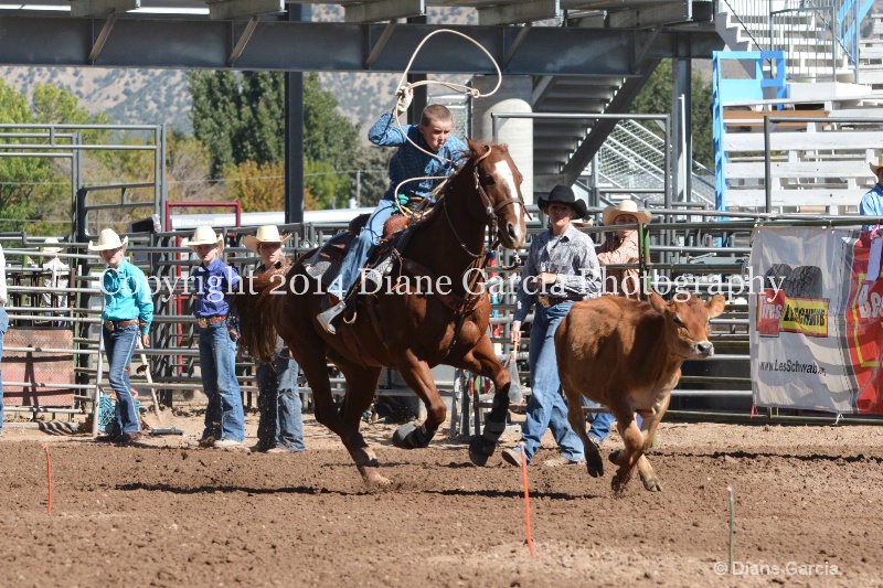 kesler riding 5th and under nephi 2014 1 - ID: 14716281 © Diane Garcia