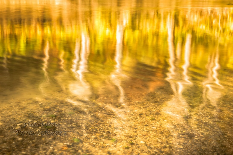 Walnut Creek Reflections