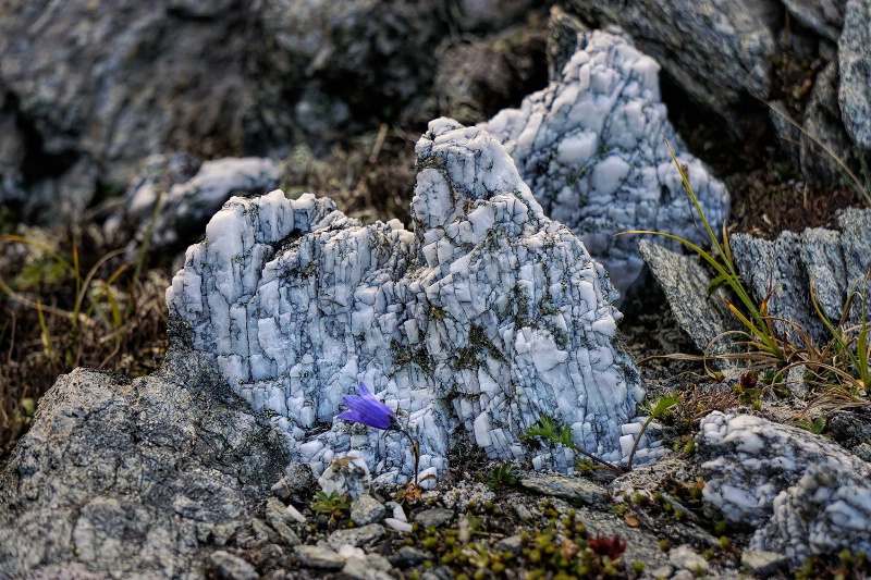 Pretty in Quartz