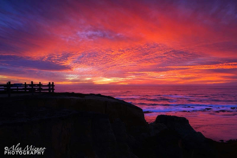 Blaze of Moss Beach