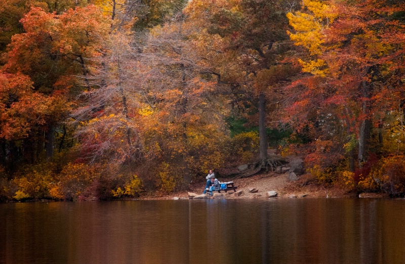 Pond Picnic