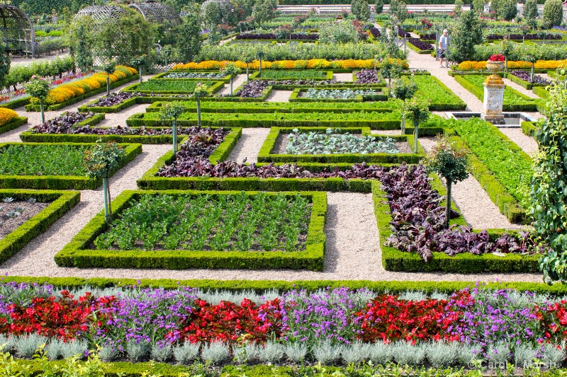 Formal vegetable garden