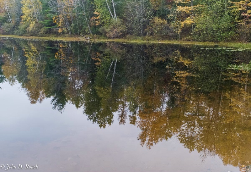 Harrison Lake Last Reflections of Fall