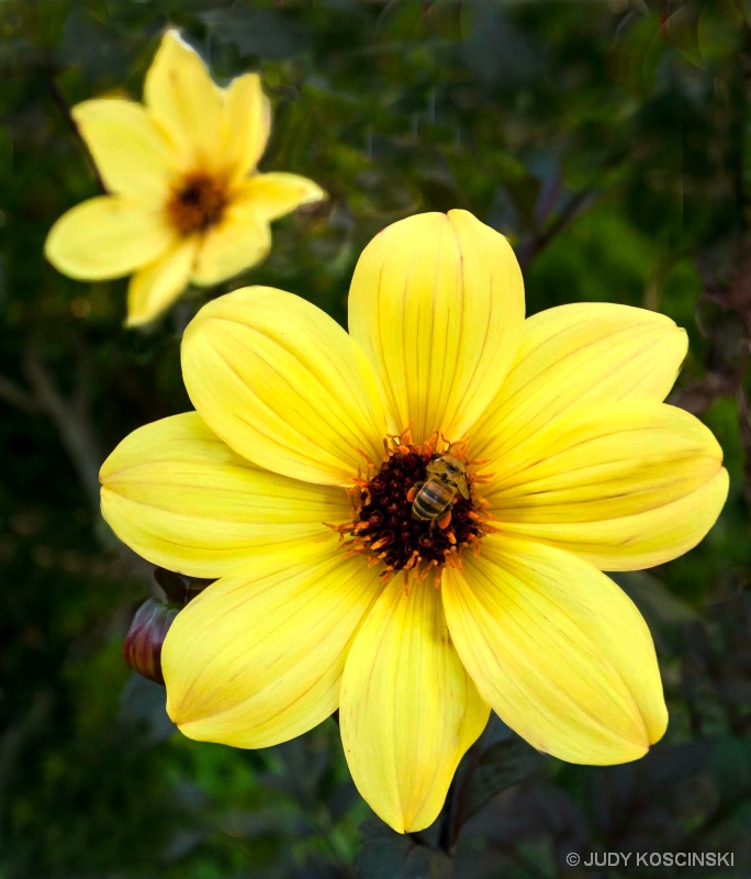 reworked yellow flower