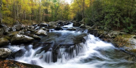 Upper Middle Prong Panorama