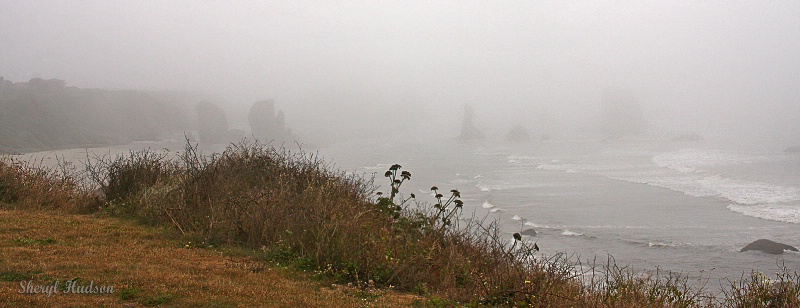 Fog Along the Oregon Coast - ID: 14718352 © Sheryl A. Hudson