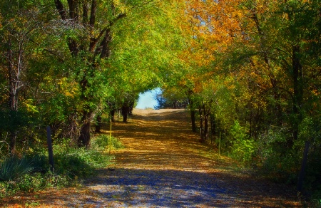 ~ COUNTRY LANE ~