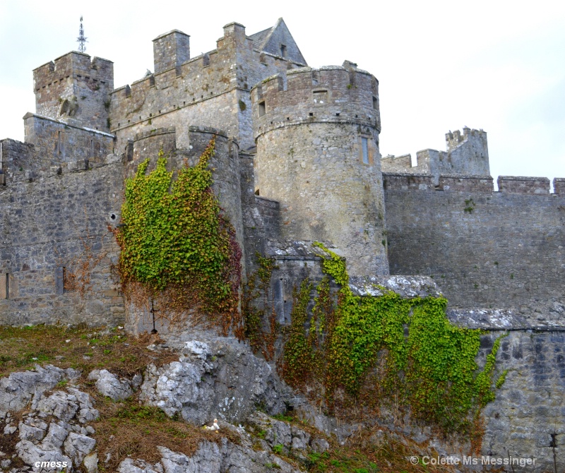 cahir castle 2014