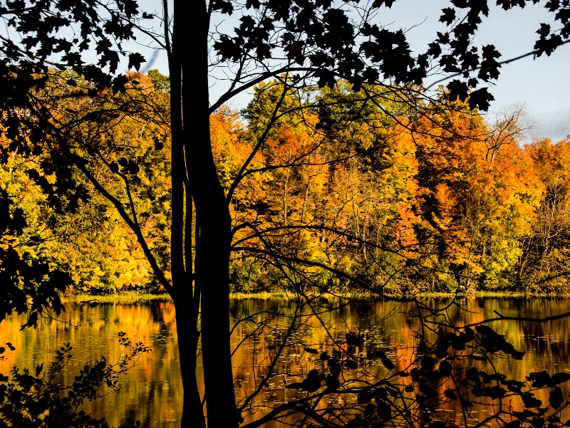 Reflections Big Woods@Big Woods, Orono, MN