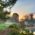 © Carol Flisak PhotoID # 14719822: A Quiet Autumn Morning at Morton Arboretum