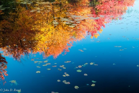 Reflections of Autumn #3