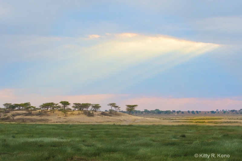 Sun Breaking Through Near Ndutu - ID: 14724826 © Kitty R. Kono