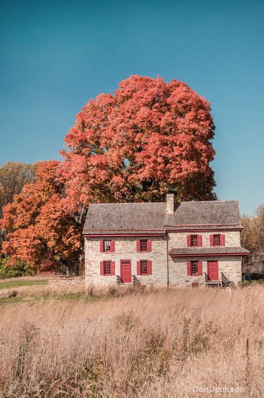 Fall Tree and Stone House 239
