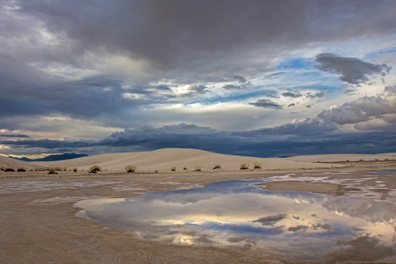 Desert Reflections     