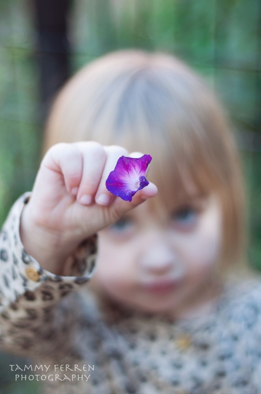 ~~ Brooklynn's Purple Flower  ~~