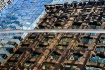 Chicago Reflectio...