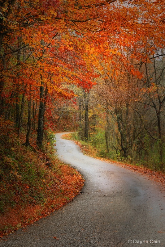 Maple Creek Road