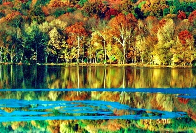 Fall Color at Radnor Lake