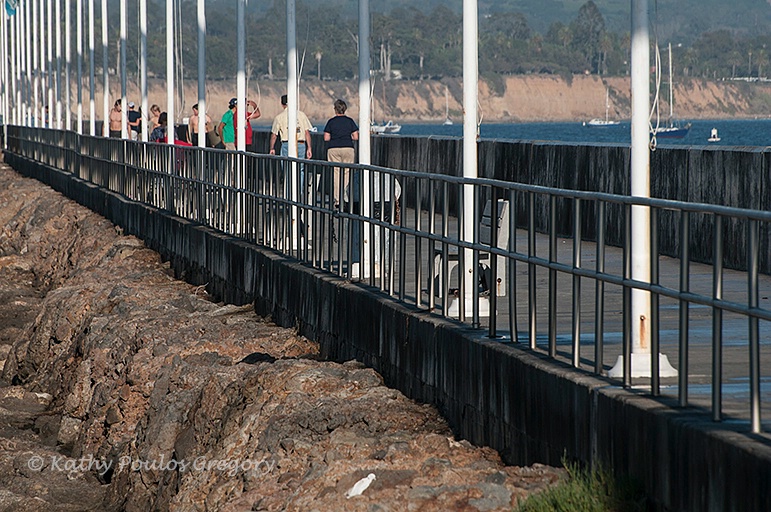 Breakwater wall at the harbor