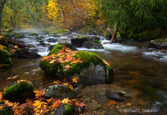 Autumn, Stream