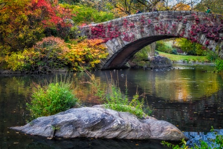 Central Park Autumn Colors