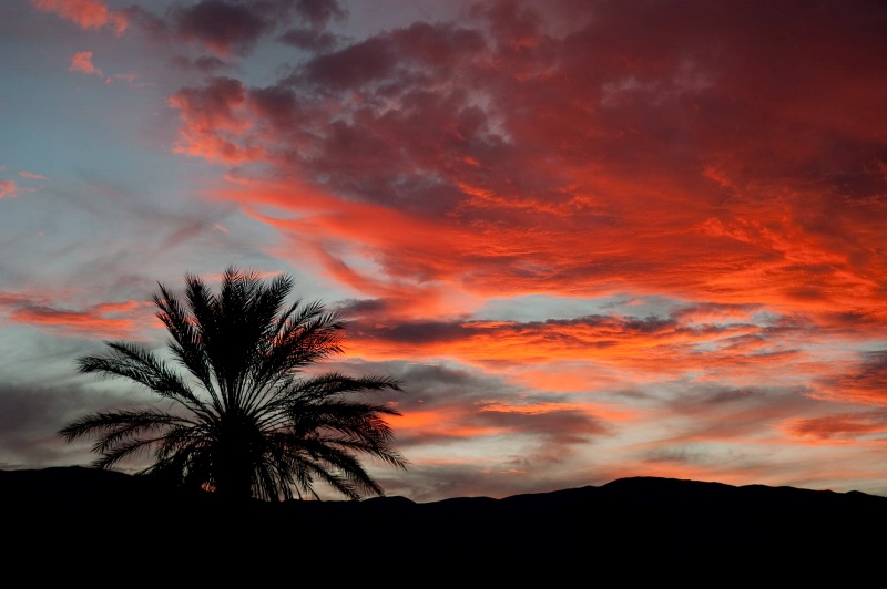 Desert Sun Set