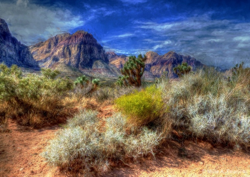 Nevada Desert