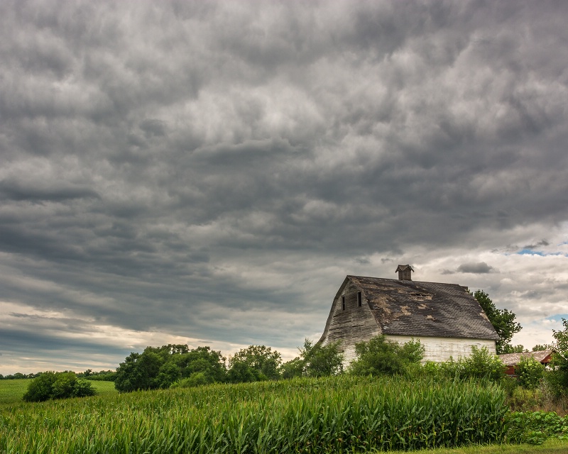 Cloud Cover