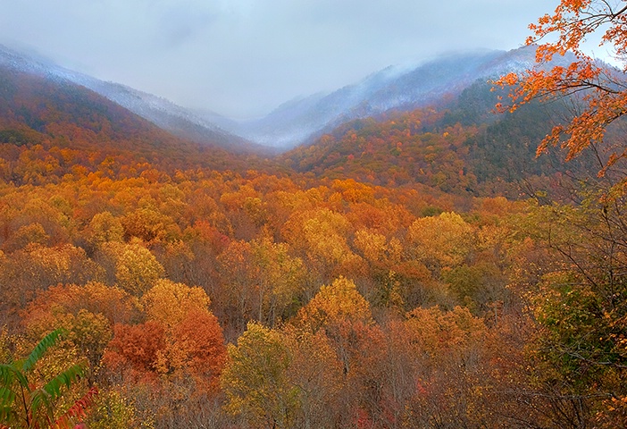 Smoky Mountains Fall 2b - ID: 14735836 © Donald R. Curry