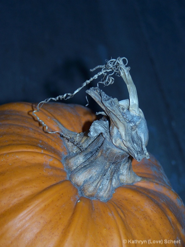 img4