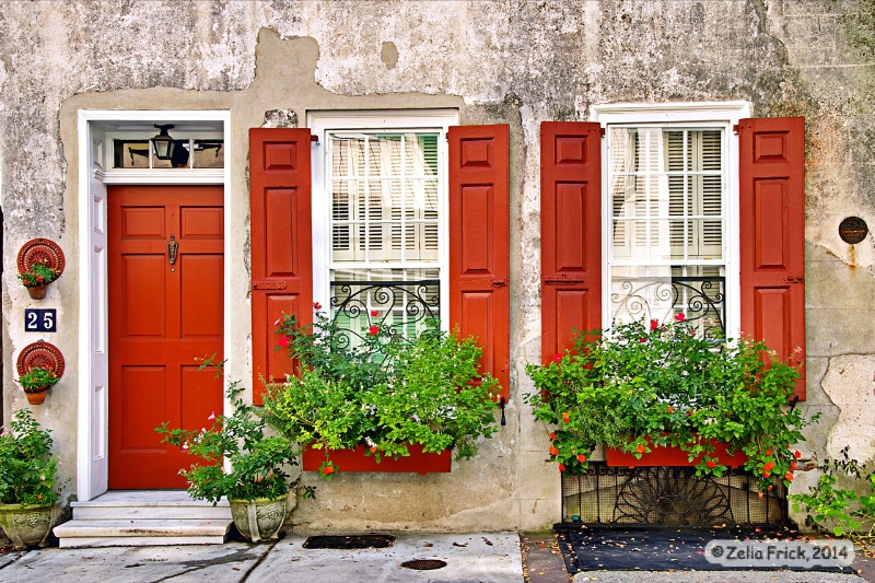 Charleston Red - ID: 14736659 © Zelia F. Frick