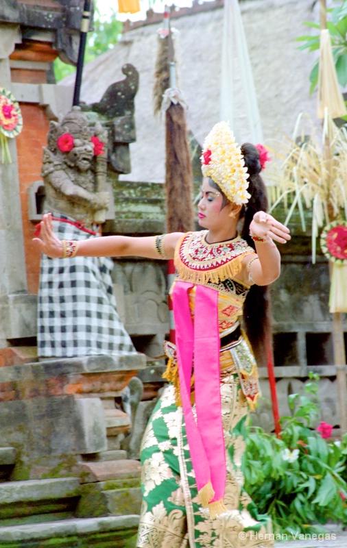 Bali Dancer