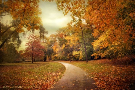 Path to Autumn