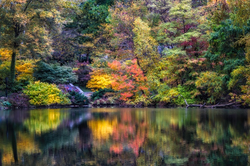 Autumn Colors By The Pond