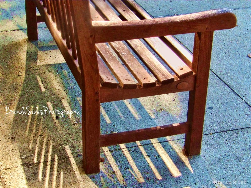 ~Bench and Shadows~