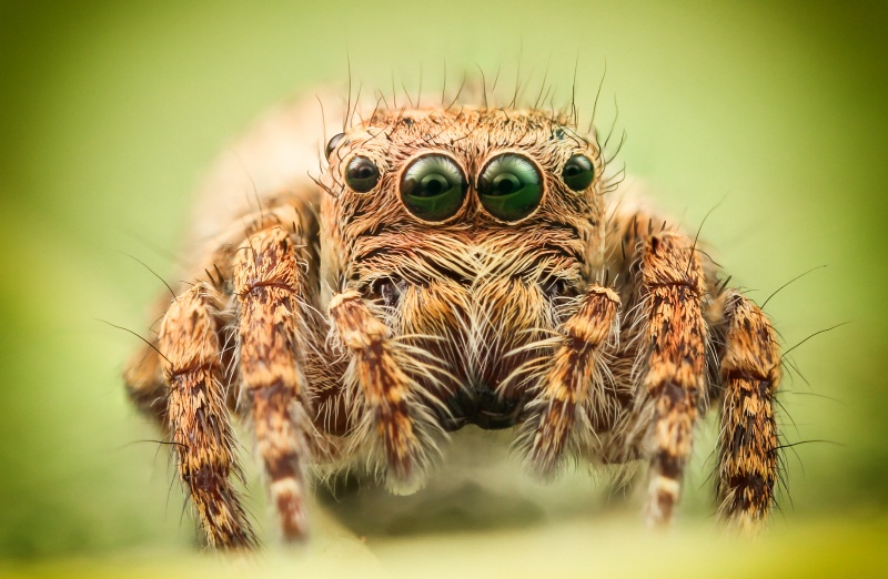 Cute Jumper