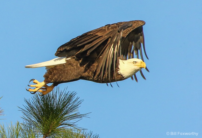 Eagle Power Takeoff