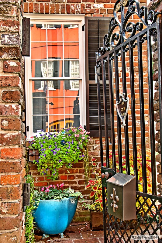 Charleston Garden - ID: 14744017 © Zelia F. Frick