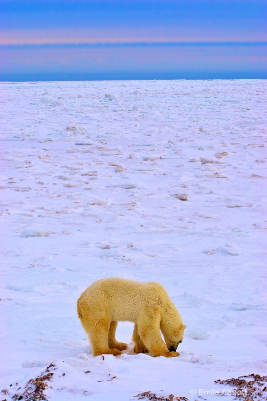 Vastness of the Tundra - ID: 14744238 © Emile Abbott