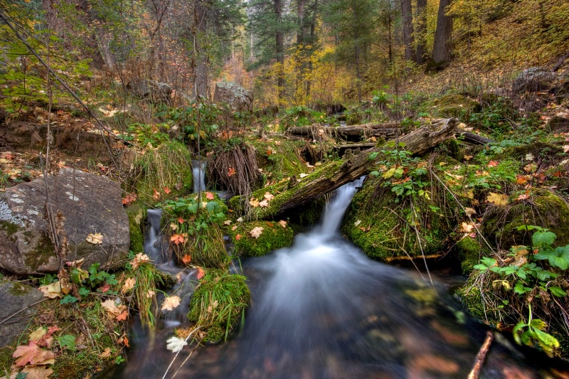 Autumn at the Springs