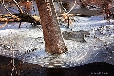Rings of Ice