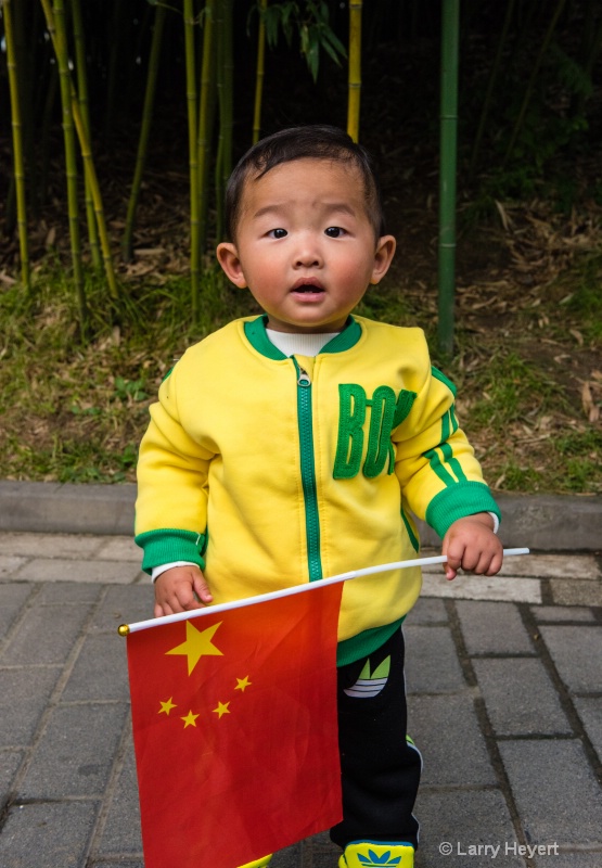 Little Boy Celebrating China's National Holida