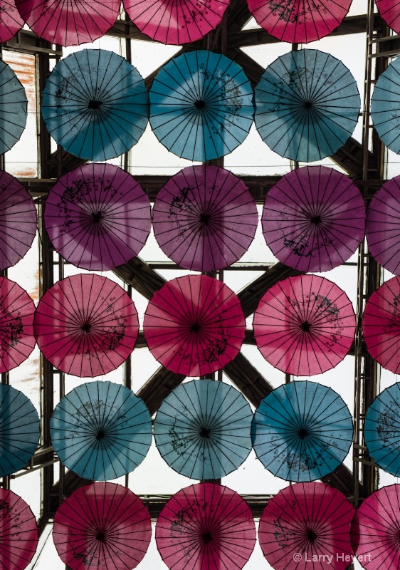 Hotel Umbrellas